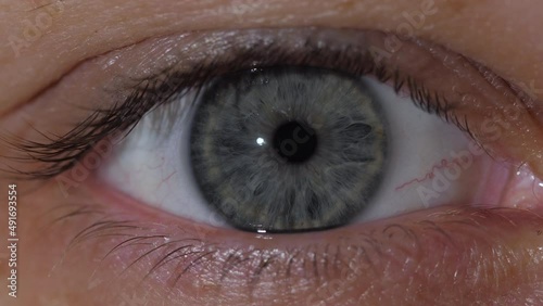Macro shot of the contraction of the gray pupil of the human eye