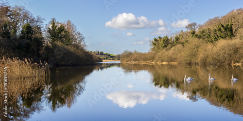 River Quoile Panorama