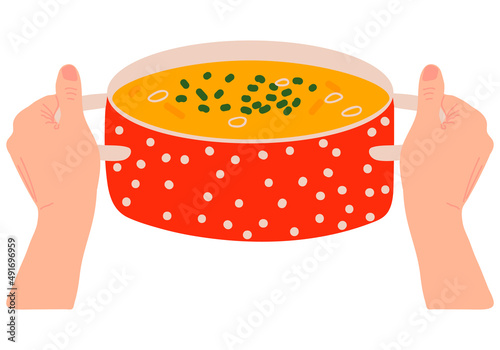 Female hands hold a red saucepan with vegetable soup. Tableware. Kitchen dishes.