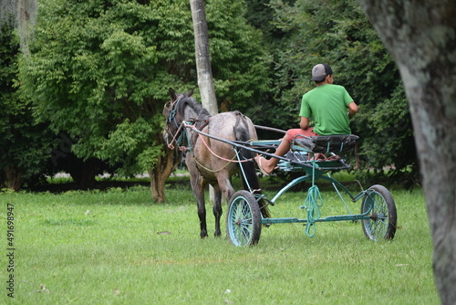 Quadro su tela carroça de cavalo