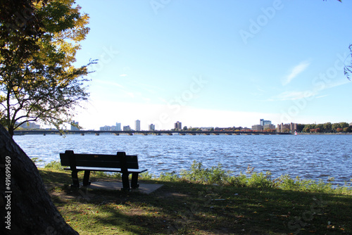 bench in the park in boston