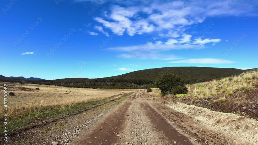 Rural scene. Point of view of a car driving along the dirt road in the meadow. We can see the forest and mountains in the background in a sunny day. Rural scene. Point of view of a car driving along the dirt road in the meadow. We can see the forest and mountains in the background in a sunny day.