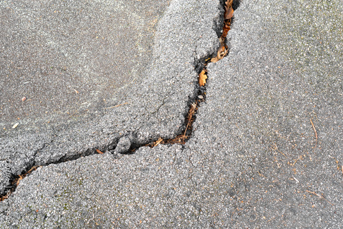 Crack on gray damaged asphalt road close-up. With fallen autumn leaves