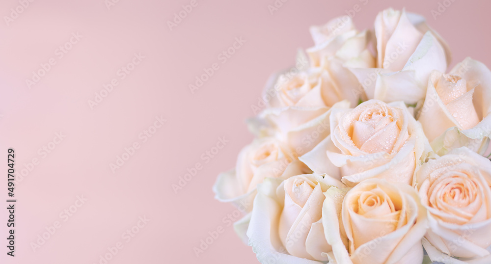 A bouquet of delicate roses with water drops in close-up on a pink background with a place to copy. Selective focus. A postcard from the celebration of International Women's Day, birthday, wedding
