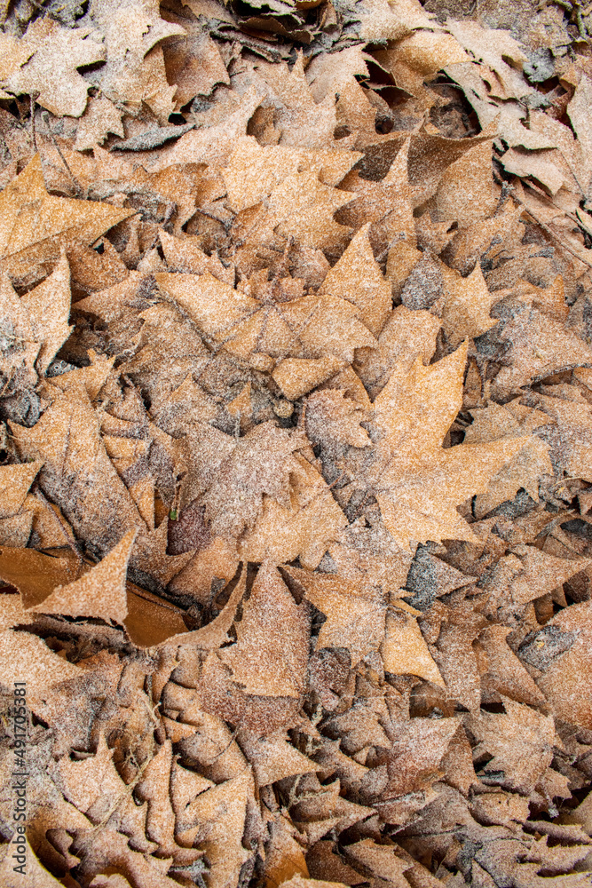 stone wall texture