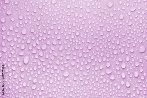 Cosmetic moisturizing liquid drops on purple pink pastel background. Toner or lotion. Hyaluronic serum