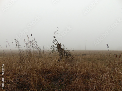 Puste pole we mgle działka budowlana pod dom © bilcka