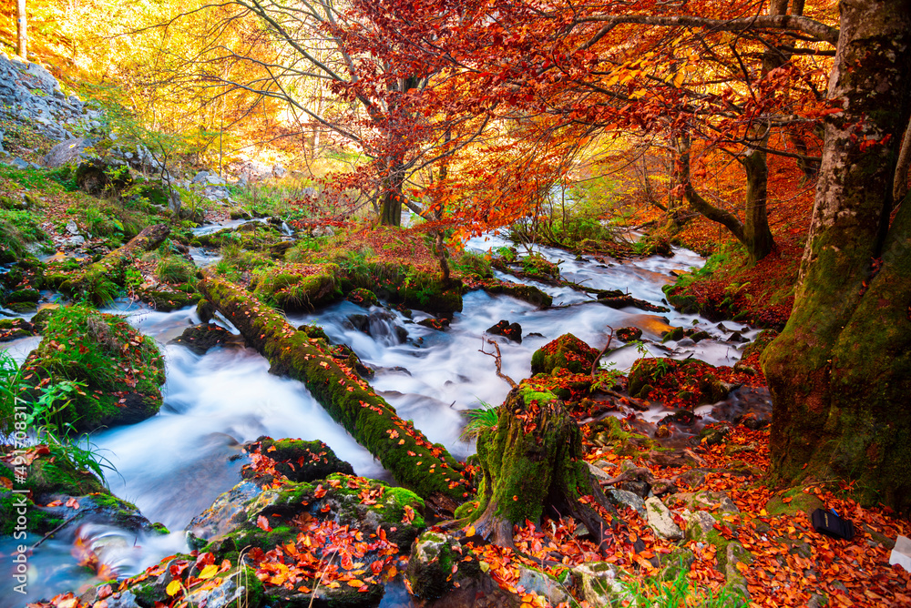 Autumn view with wild river , long exposure