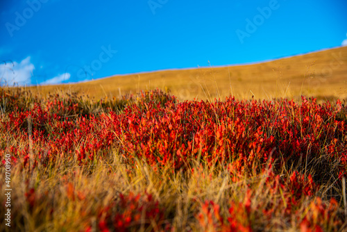 Autumn landscape in the mountains