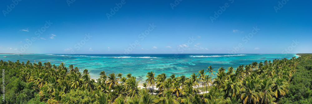 Wild tropical seashore with coconut palm trees and turquoise caribbean sea. Travel destination. Aerial panorama view