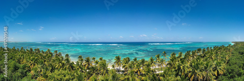 Wild tropical seashore with coconut palm trees and turquoise caribbean sea. Travel destination. Aerial panorama view