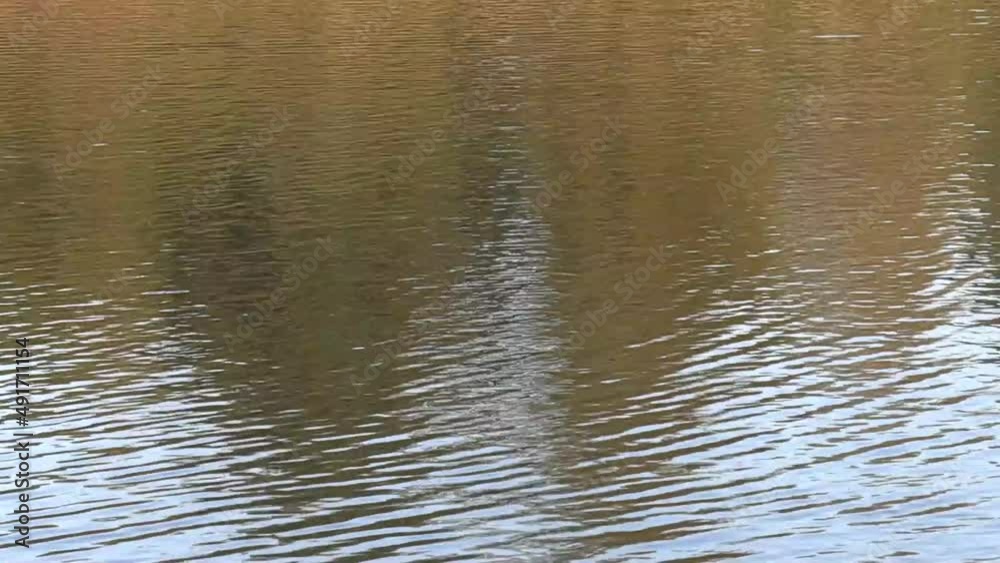 water ripples water ripples