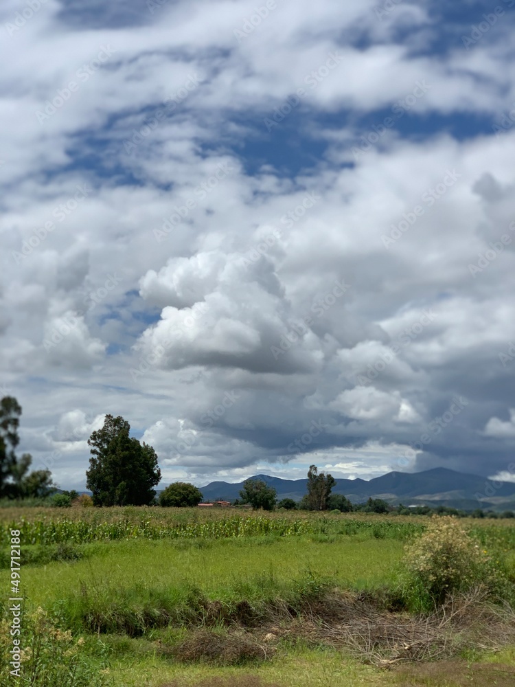 Obraz premium clouds over the field