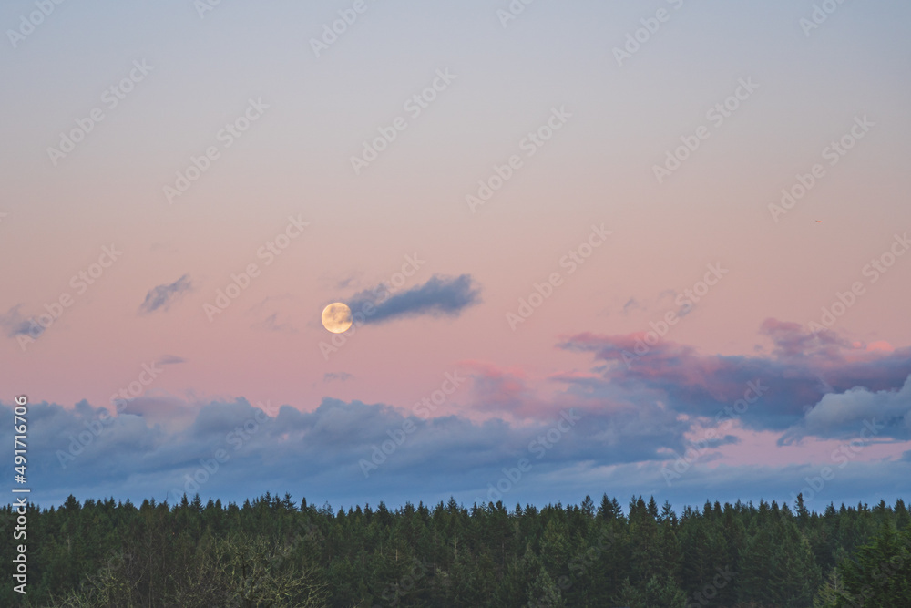 Dramatic Evening sky with yellow moon rising over forest country scene 