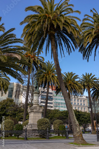 Tall palm trees in the park within the city