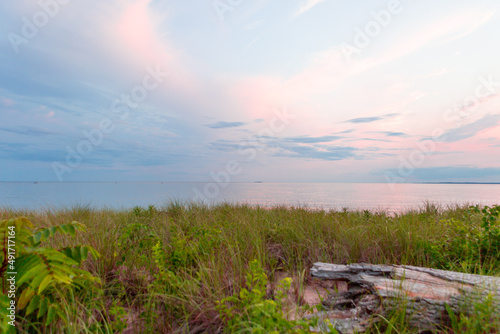Sunset over grassy area at beach