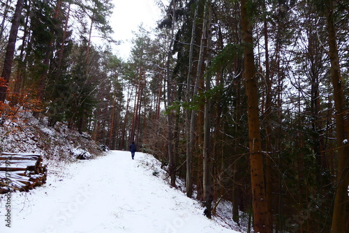 winterlicher Spaziergang
