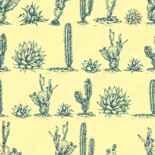 29_blue agave graphic illustration, set of different cacti, blue agave, tequila main ingredient, seamless pattern, desert cactus drawing, agave, side view