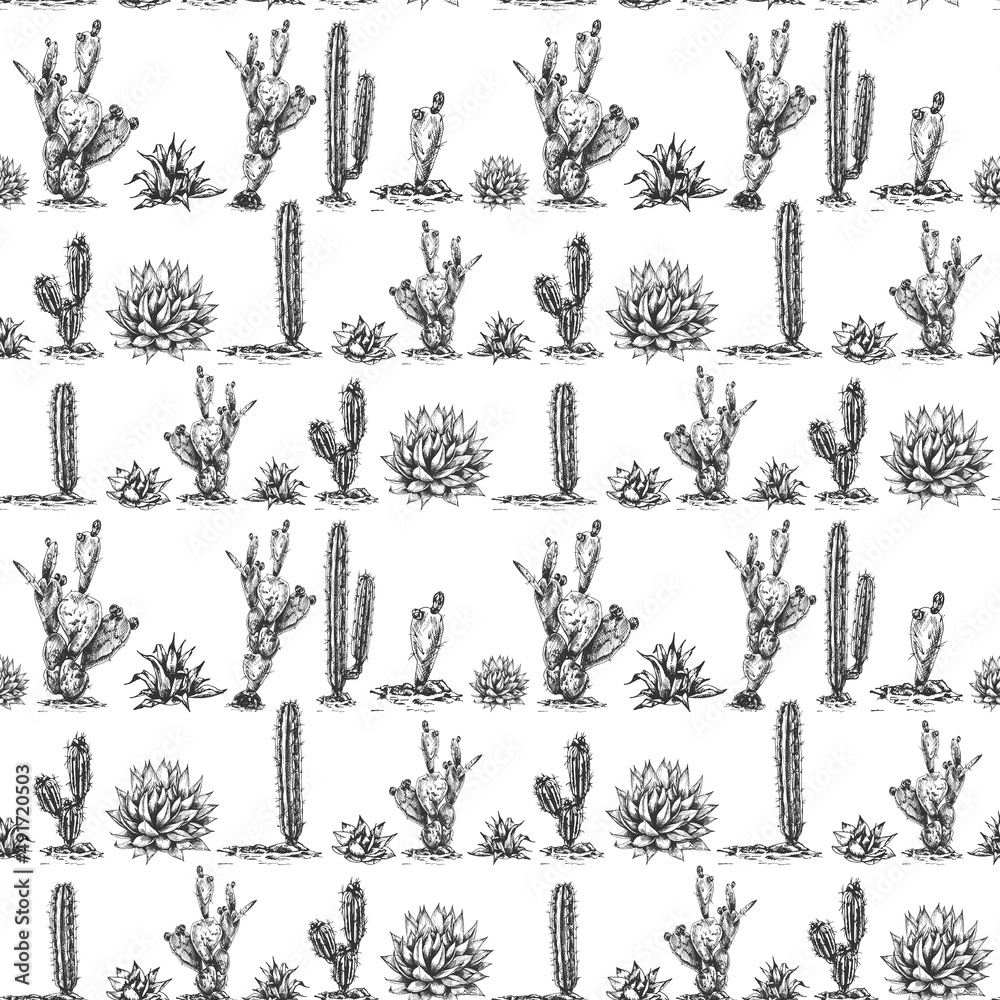 27_blue agave graphic blue agave, main ingredient of tequila, sketch, vector illustration, drawing of agave cactus, side view, seamless pattern