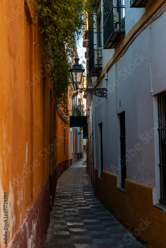 Calle Vida  Barrio de Santa Cruz  Sevilla  Andalucia  Spain  a pretty  narrow lane in the old Medieval quarter