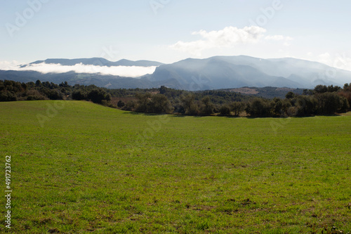 Paisaje de campo de trigo con fondo de niebla  monta  as y nubes