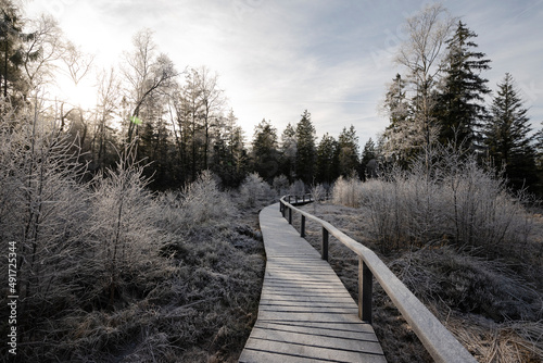Frosty winter landscape with the low winter sun shining over the wooden plank path above the Mecklenbruch raised bog, Solling-Vogler Nature Park, near Silberborn, Lower Saxony, Germany  © teddiviscious