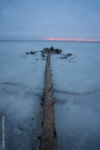 beach at sunset