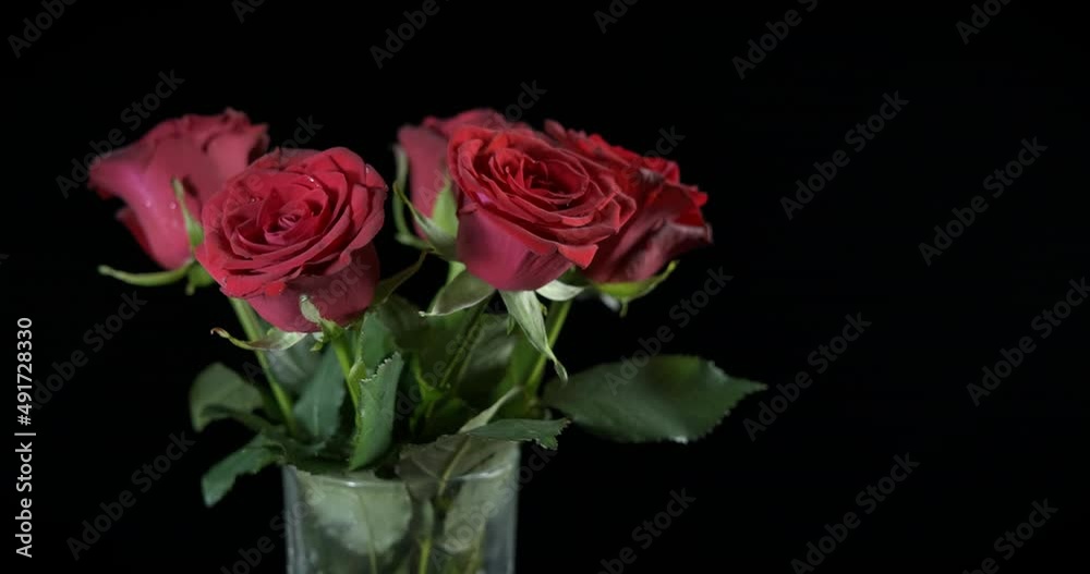 Fresh red roses in vase. Fresh gardening roses stay in the glass vase in the night.