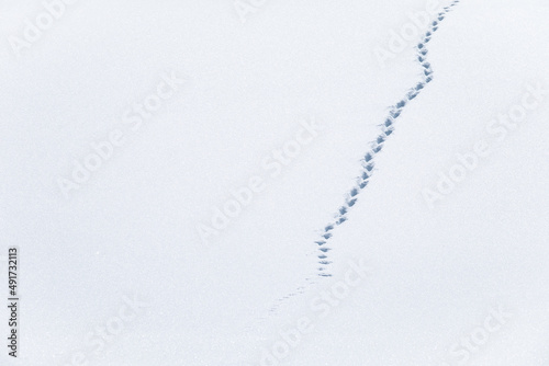 Des traces de pas dans la neige épaisse de ahute montagne dans les Alpes photo