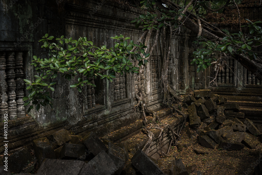 Cambodia Temple Ruins
