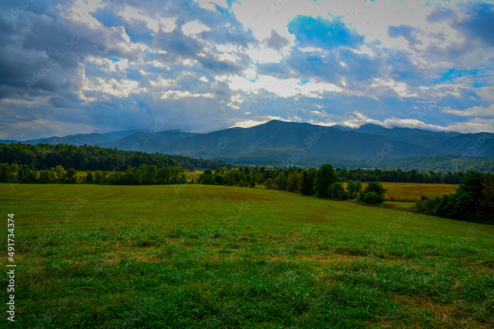 Beautiful landscape photo of an open southern grass field.