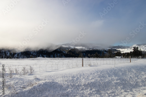 a fence in a snow covered field in the mountains © Lynda