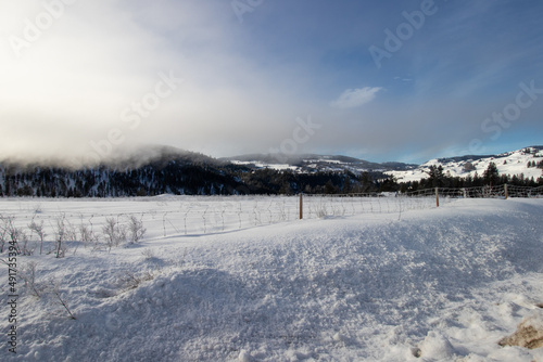 Winter wonderland near Bridesville, BC