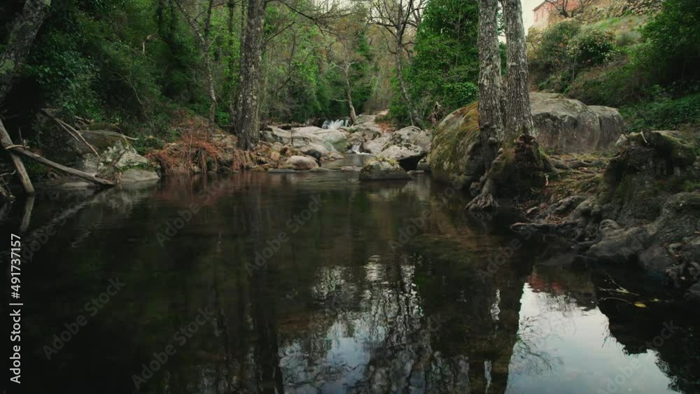 Flying over a river in the forest. Low flight over a river in the woods. Flying up over a mountain river. Flying close over a mountain stream. High quality 4k footage Flying over a river in the forest. Low flight over a river in the woods. Flying up over a mountain river. Flying close over a mountain stream. High quality 4k footage