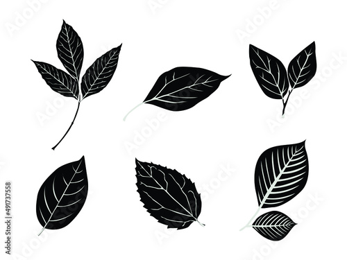 Leaves Icon Vector illustration. Nature Leaf Decorative Symbol. Leaves of Trees and Plants Sign, emblem isolated on white Background, Flat style for Graphic and web design,silhouette, Logo. EPS10 