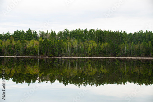 Fototapeta Naklejka Na Ścianę i Meble -  Reflection of forest