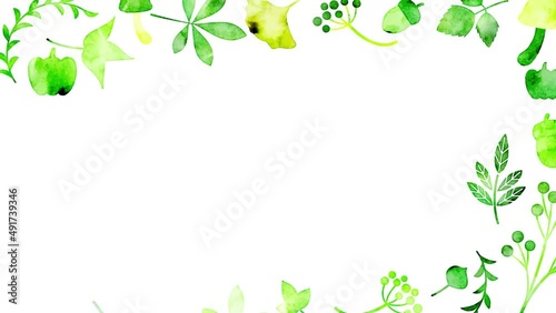水彩の植物イラストフレーム：グリーン
