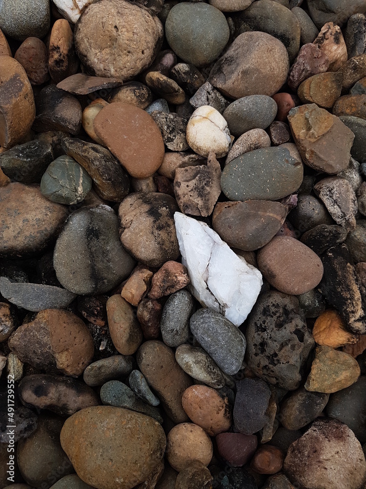 abstract background white precious stone among coral stones abstract background white precious stone among coral stones
