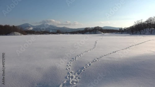 Wallpaper Mural 冬の曽原湖（福島県・北塩原村） Torontodigital.ca