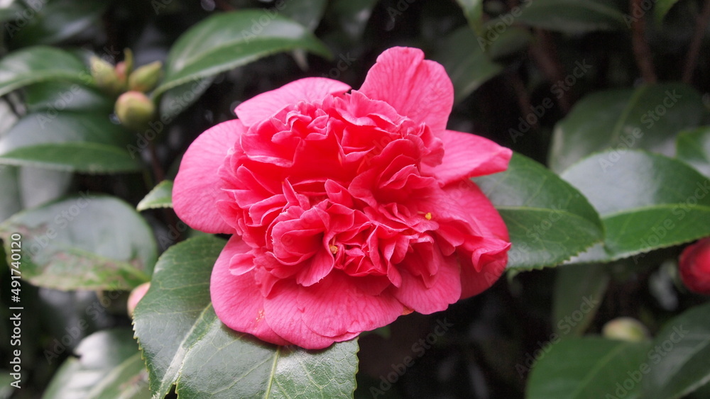 Spring has come