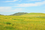 A mountain range on the edge of the endless steppe under a summer sunny sky.