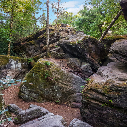 Large overturned and overgrown sandstone boulders with trees on top