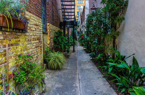 Plant Filled Alley in The Historic District  Charleston  South Carolina  USA