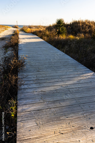 Boardwalk and The Sand Dunes of Station 18 Beach, Sullivan's Island, South Carolina, USA photo