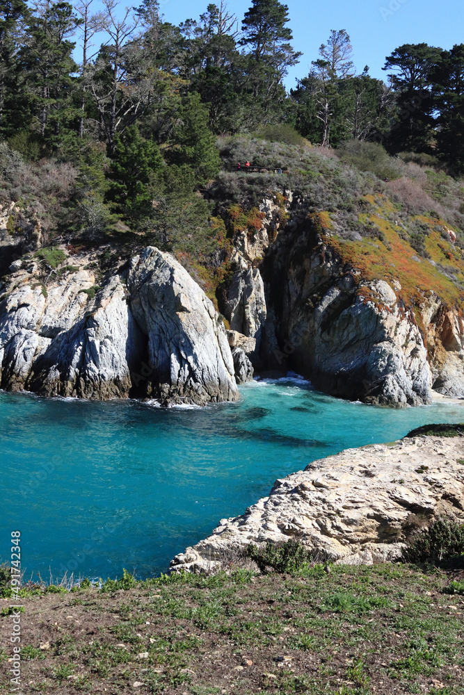 Blue lagoon, rocks and glade with ice plant