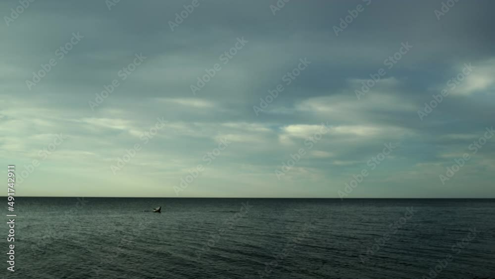 Calm sea landscape background on serenity nature. Ocean water in tranquil place. Calm sea landscape background on serenity nature. Ocean water in tranquil place.