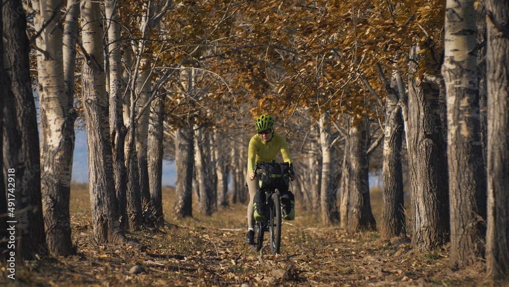 The woman travel on mixed terrain cycle touring with bikepacking. The traveler journey with bicycle bags. Sportswear in green black colors. The trip in magical autumn forest, arch, alley, avenue.