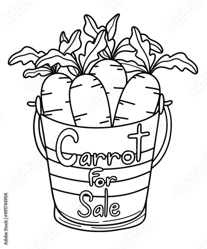 Carrots in bucket outline, Easter illustration for coloring book