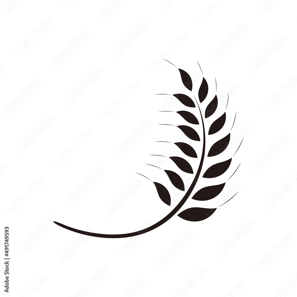 Agriculture wheat logo vector on white background Agriculture wheat logo vector on white background