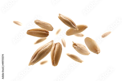 Oat grains levitate on a white background